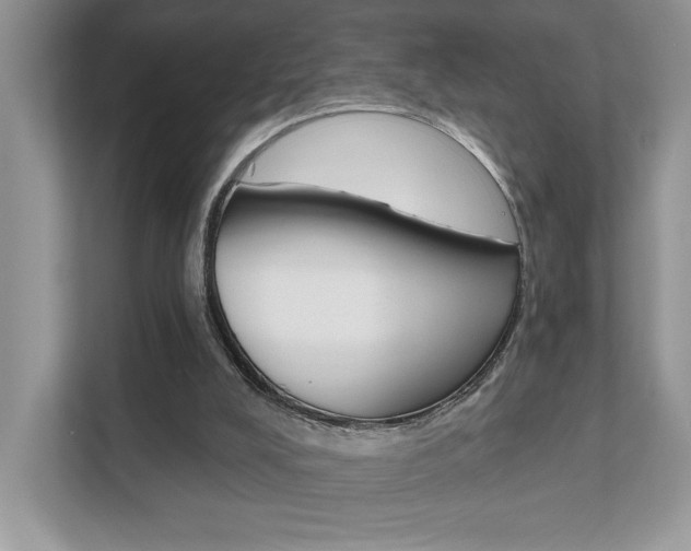 X0000111890008200907231457