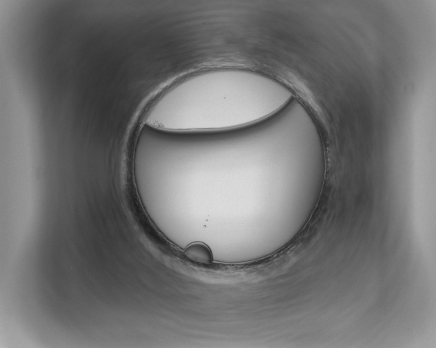 X0000111890012200907231456