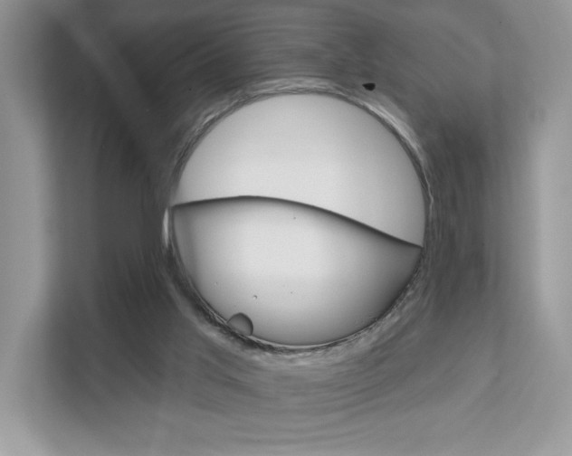 X0000111890013200907231456
