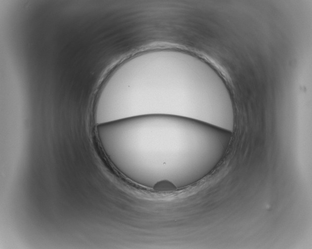 X0000111890015200907231456