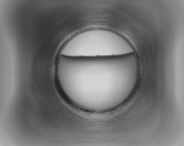 X0000111890016200907231456