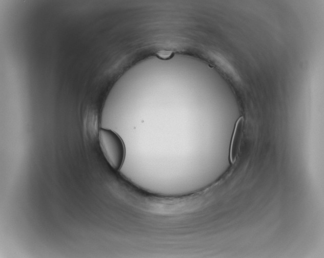X0000111890021200907231456