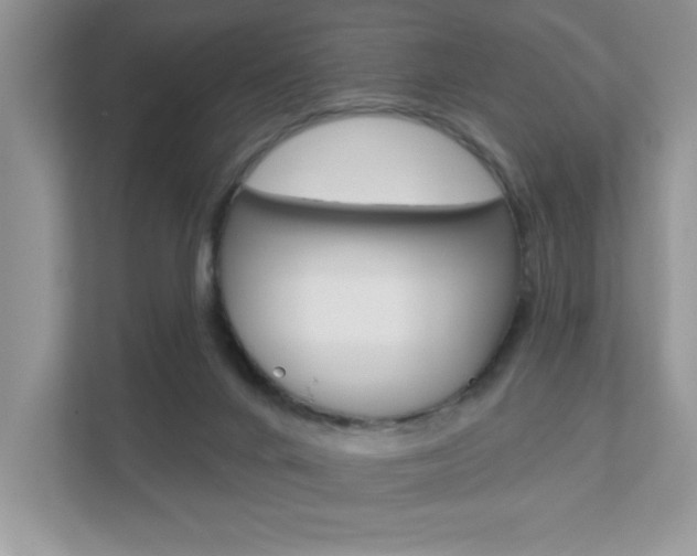 X0000111890024200907231456