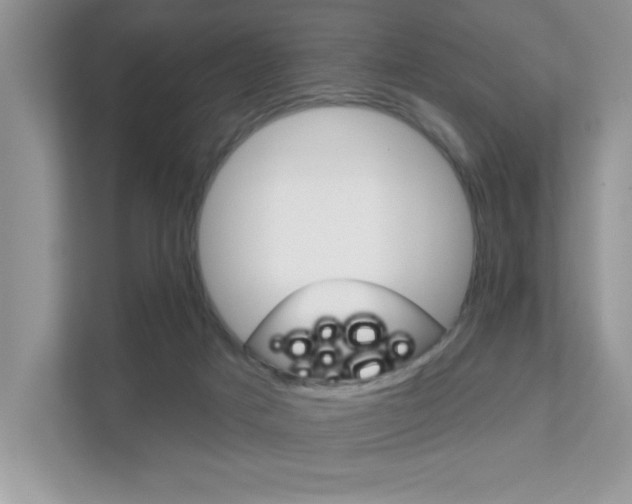X0000111890025200907231456
