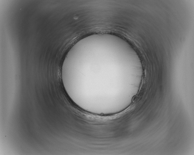 X0000111890048200907231456