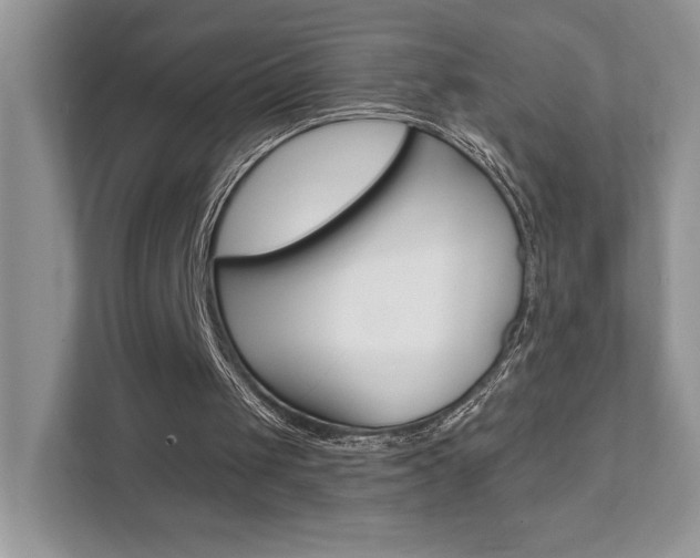 X0000111890049200907231455