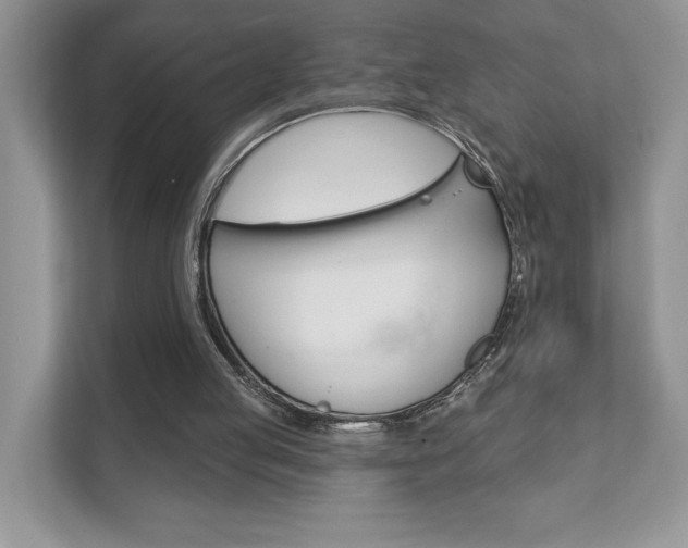 X0000111890053200907231455