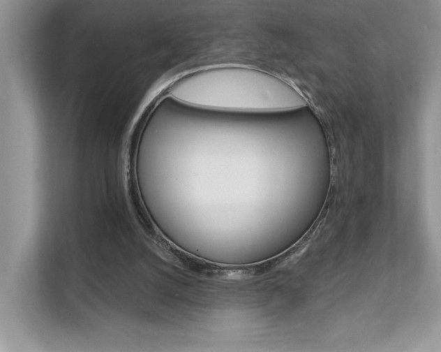 X0000111890056200907231455