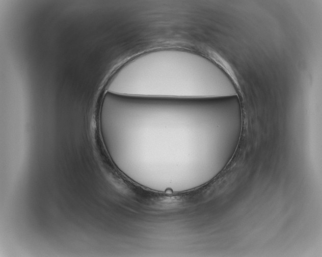 X0000111890059200907231455