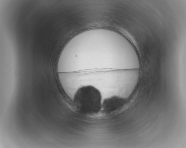 X0000111890065200907231456