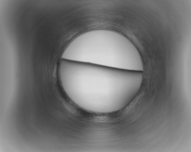 X0000111890066200907231456