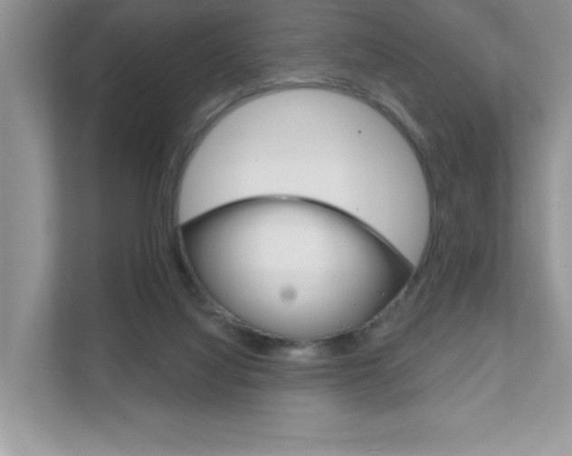 X0000111890068200907231456