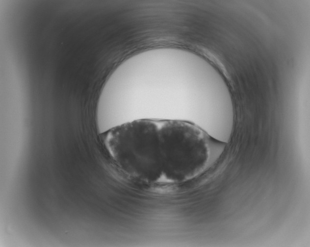 X0000111890069200907231456