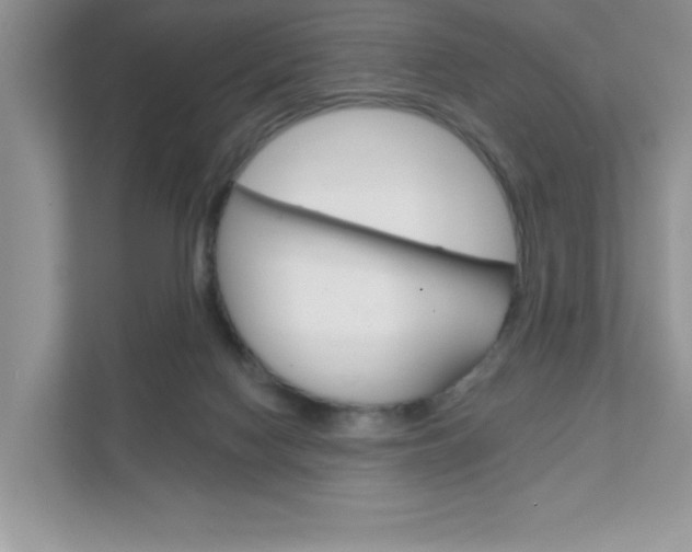 X0000111890074200907231456