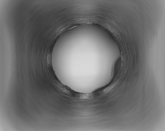 X0000111890096200907231456