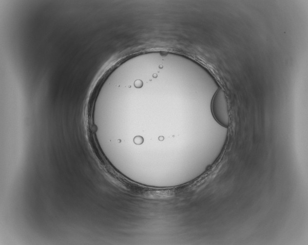 X0000111890102200907231455