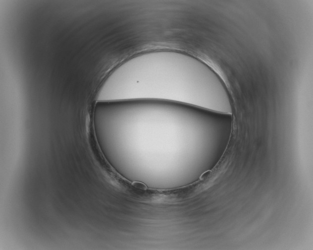 X0000111890109200907231455