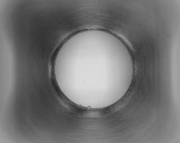 X0000111890110200907231455