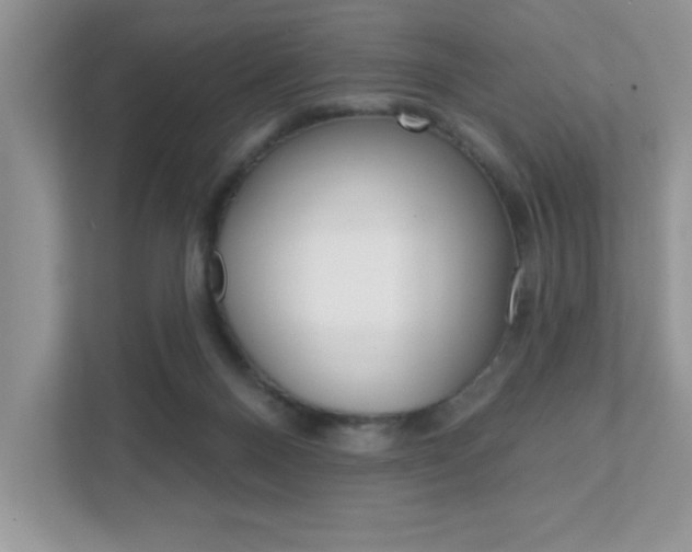 X0000111890120200907231455