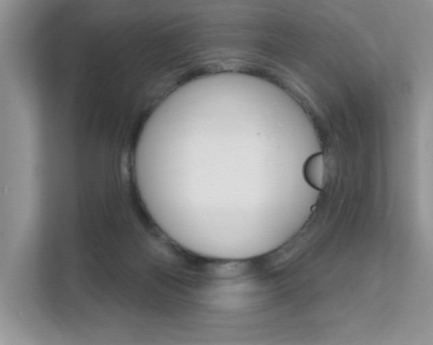 X0000111890122200907231455