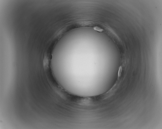X0000111890124200907231455