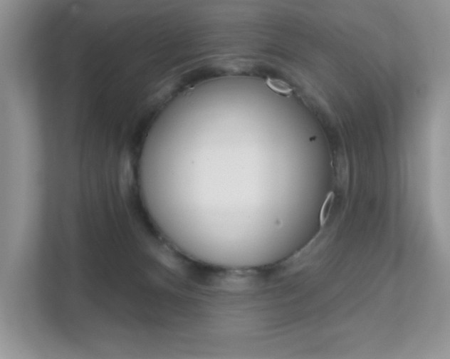 X0000111890128200907231455