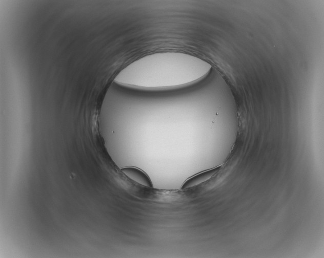 X0000111890141200907231455