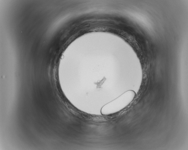 X0000111890146200907231454