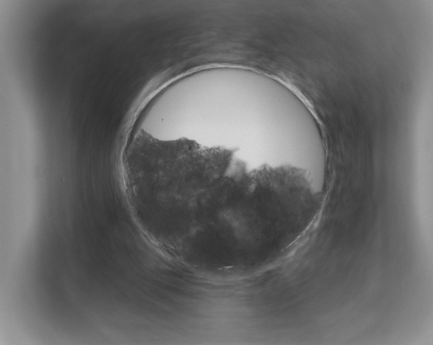 X0000111890151200907231454