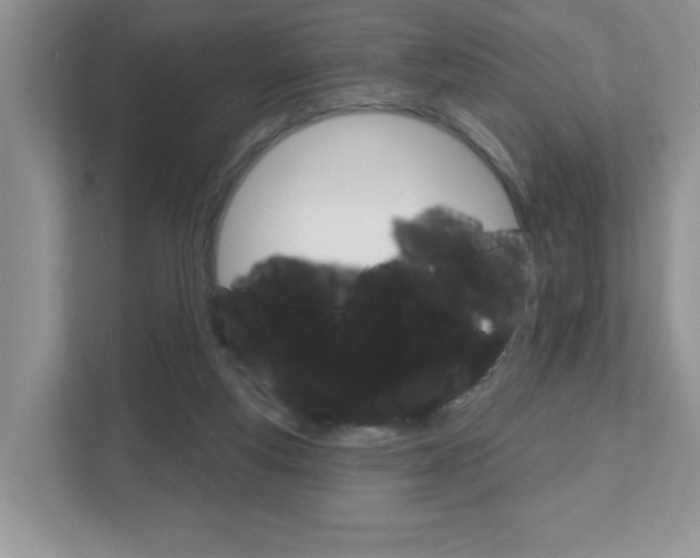 X0000111890163200907231454