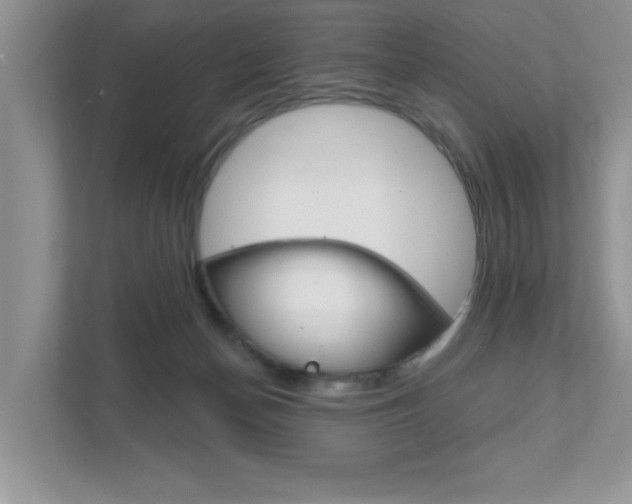 X0000111890174200907231454
