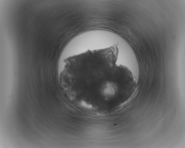X0000111890175200907231454