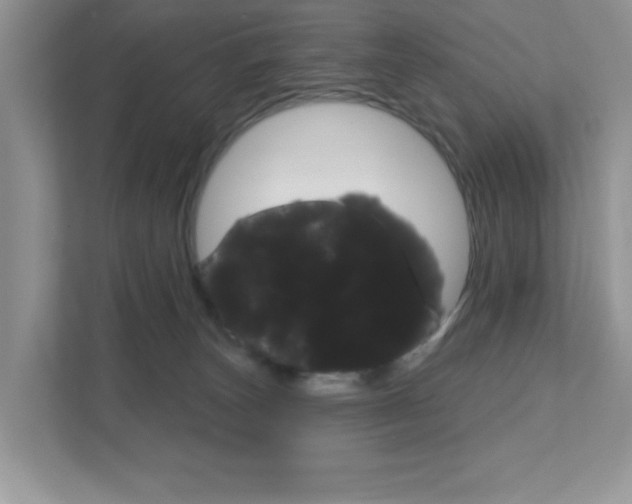 X0000111890179200907231455