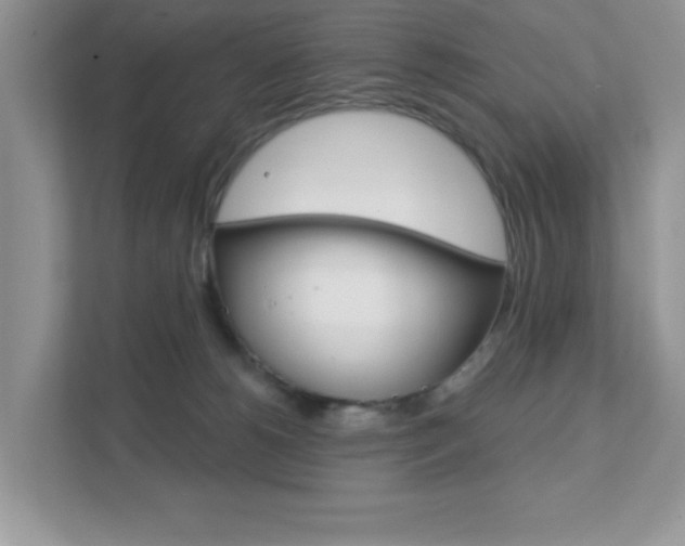 X0000111890180200907231455