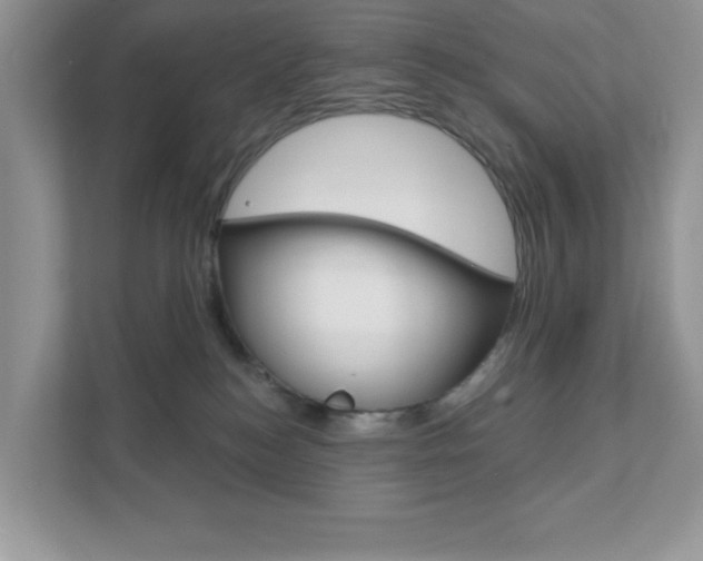 X0000111890184200907231455