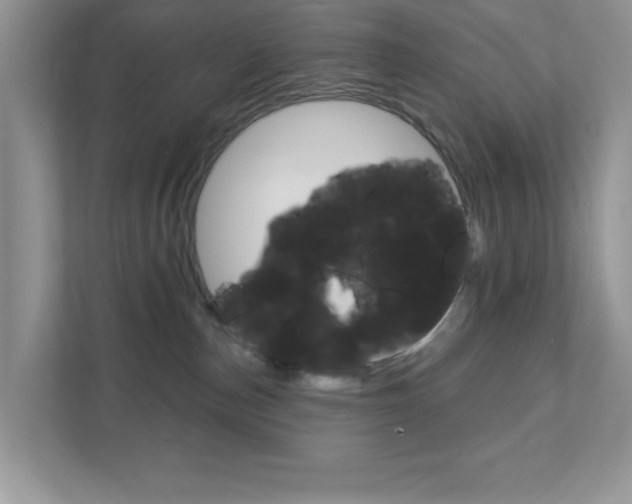 X0000111890187200907231455