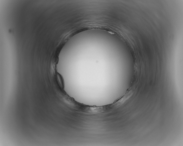 X0000111890188200907231455