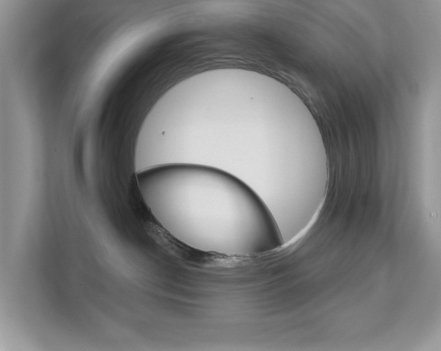 X0000111890190200907231455