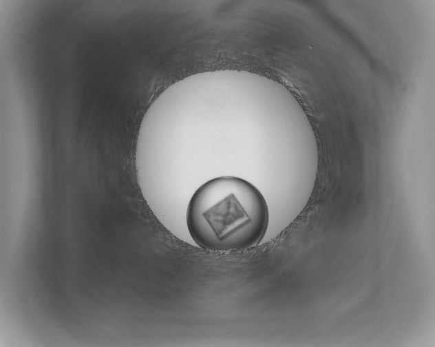X0000111890192200907231455