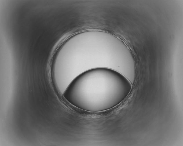 X0000111890197200907231454