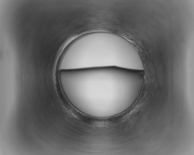 X0000111890200200907231454