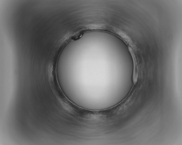 X0000111890201200907231454