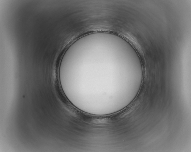 X0000111890202200907231454