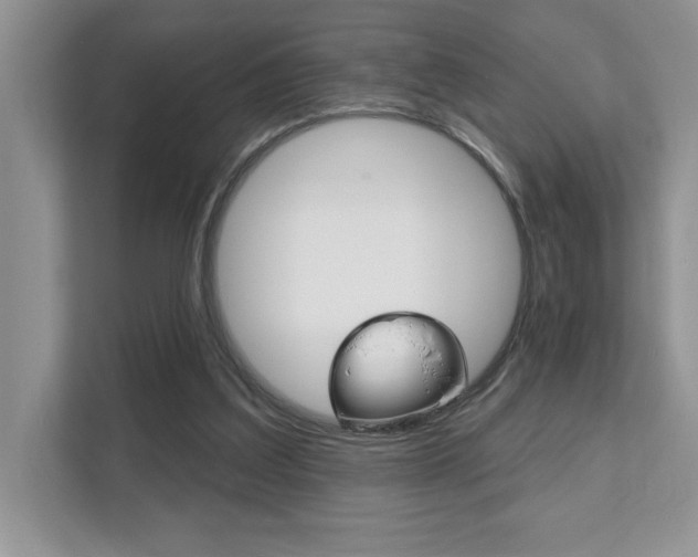 X0000111890203200907231454