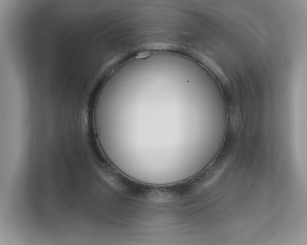 X0000111890207200907231454