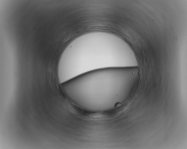 X0000111890219200907231454