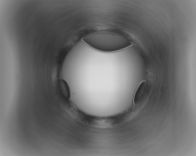 X0000111890221200907231454
