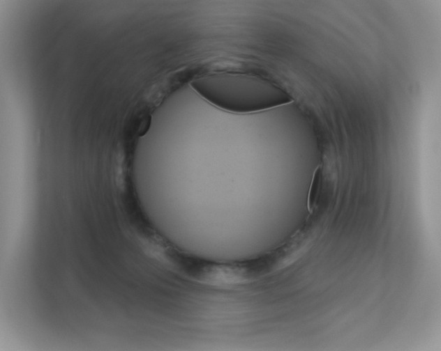 X0000111890223200907231454