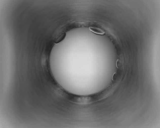 X0000111890225200907231454