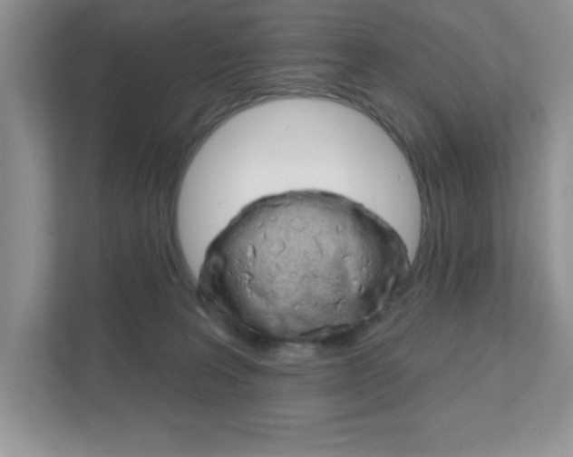 X0000111890227200907231454